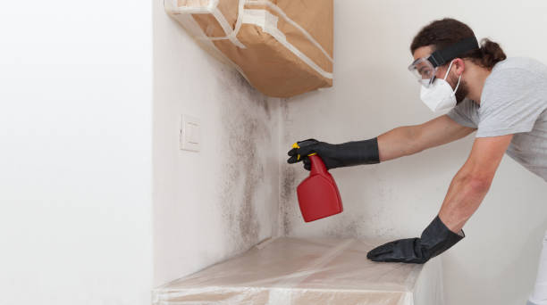 Professional Basement Mold Removal technician working in Kingsville, TX